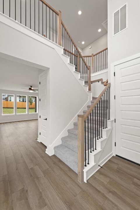 Gallery image 5