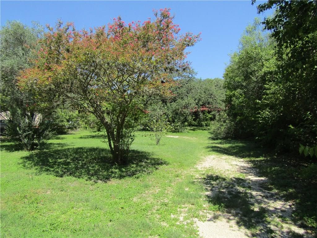 Gallery image 4