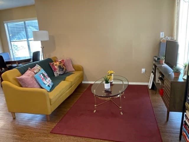 Gallery image 5