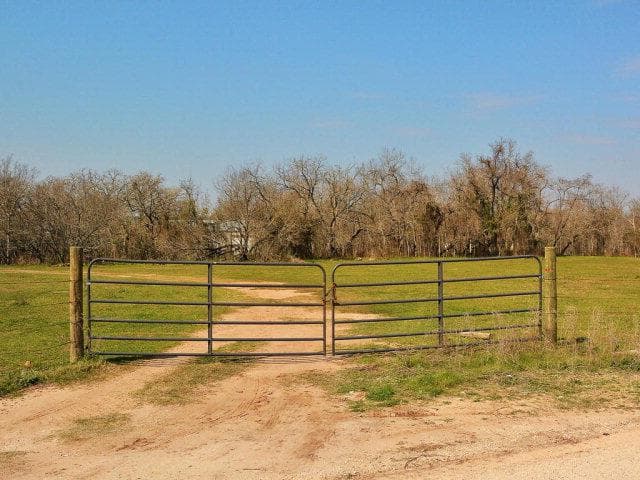 Gallery image 5
