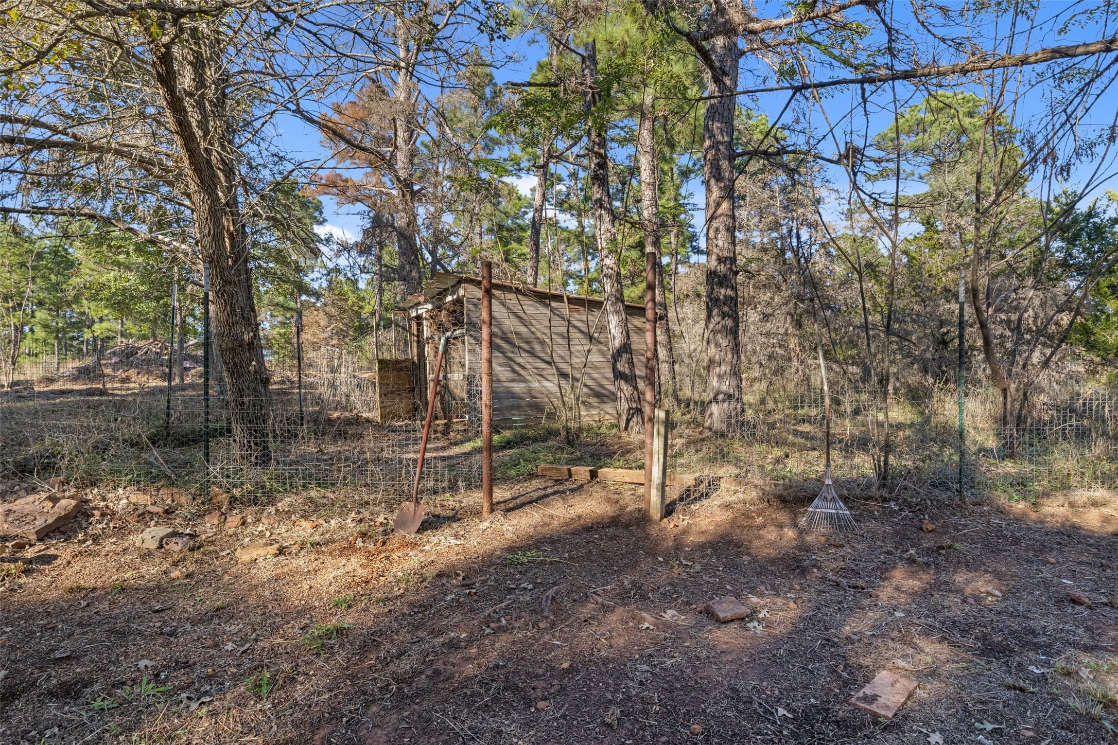 Gallery image 4