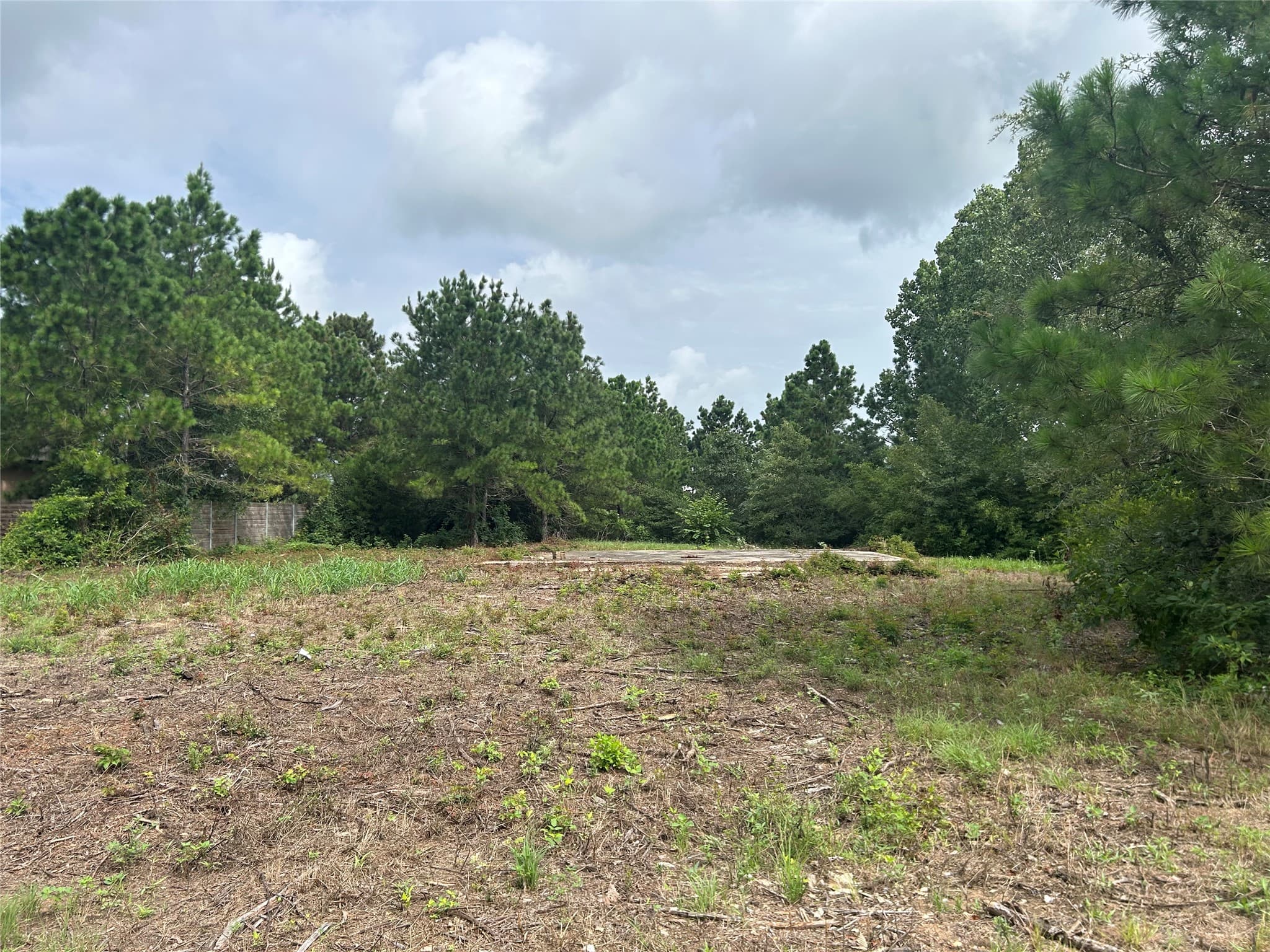 158 Cardinal Loop