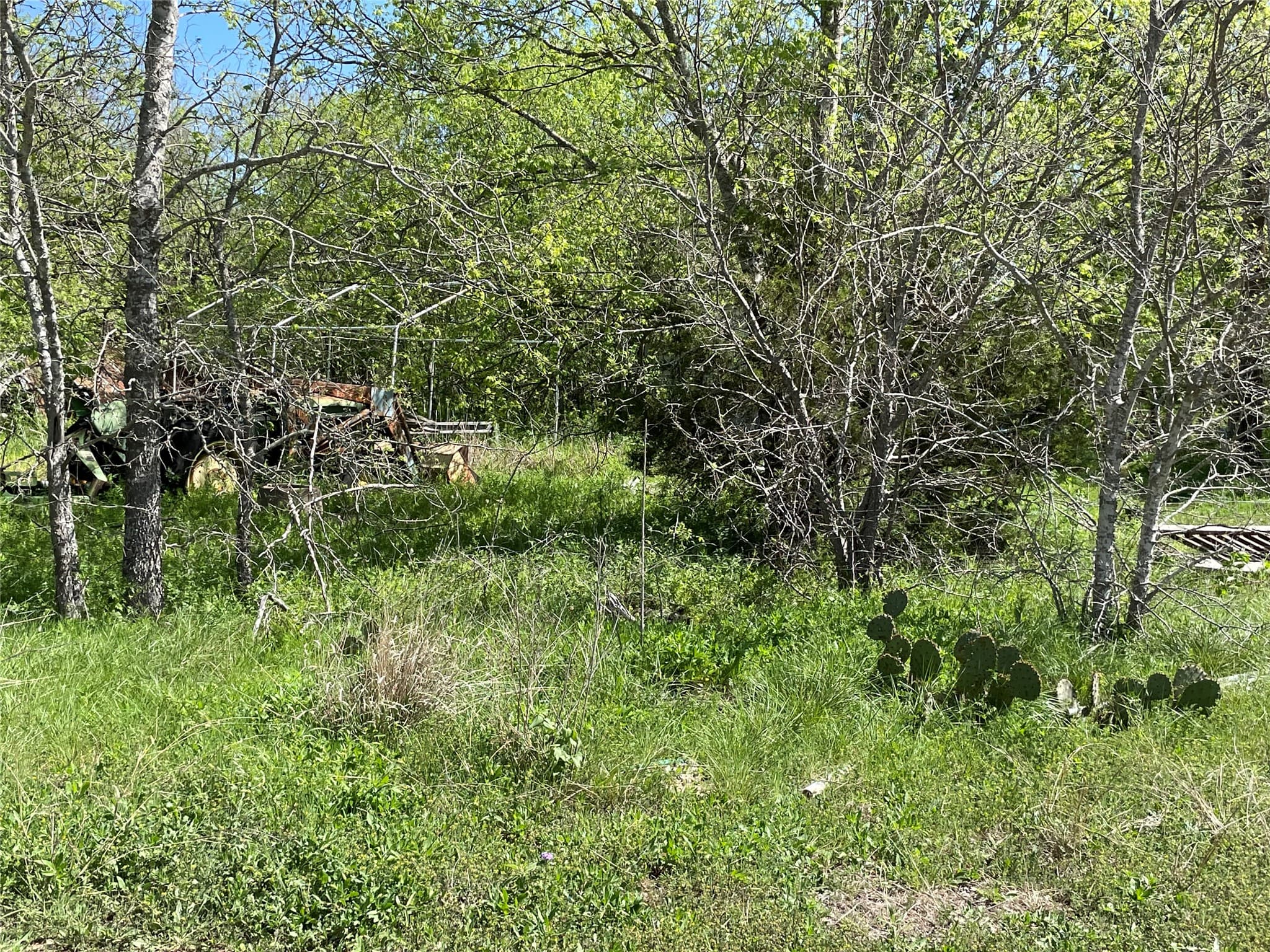 Gallery image 5