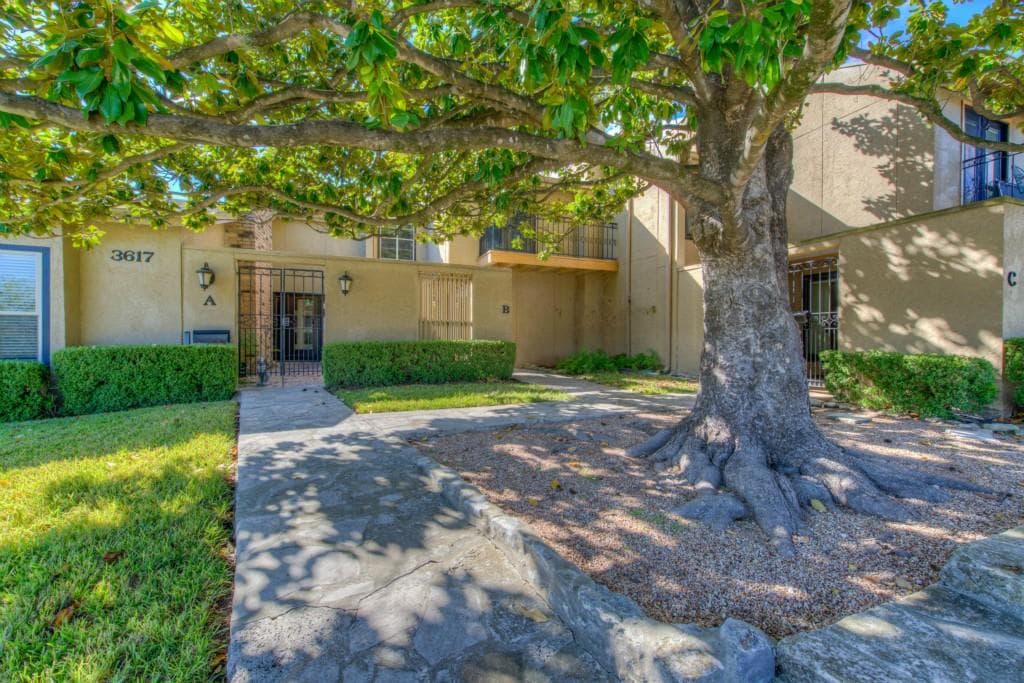 Gallery image 5