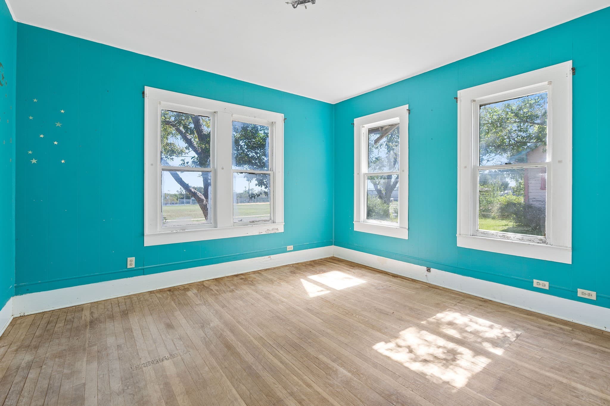 Gallery image 5