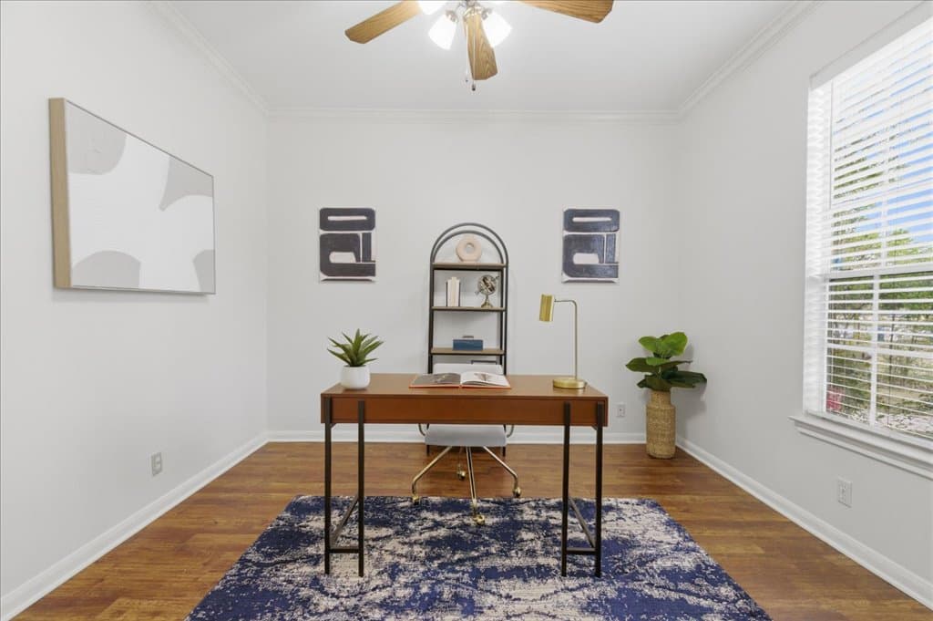 Gallery image 4