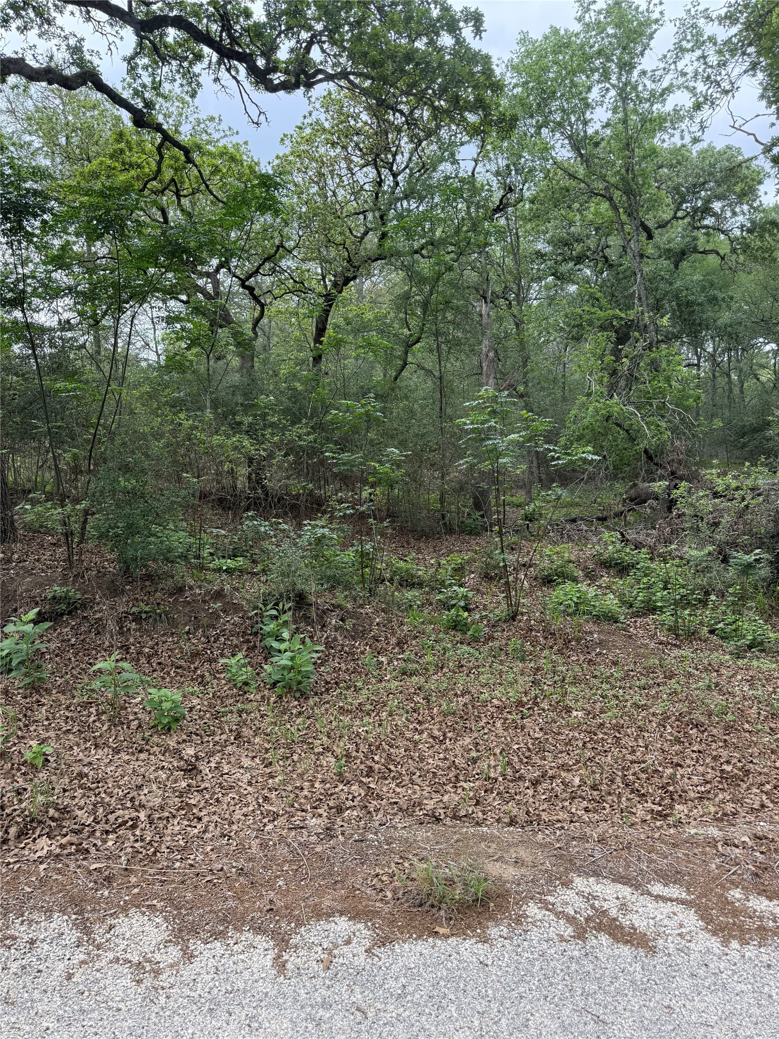 Gallery image 3