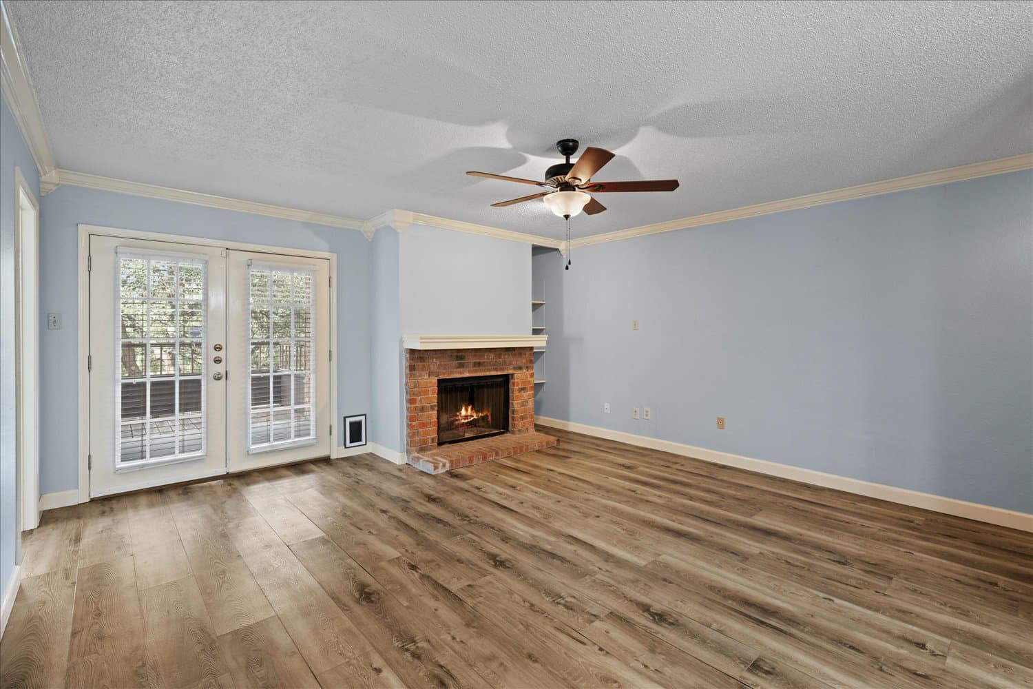Gallery image 5
