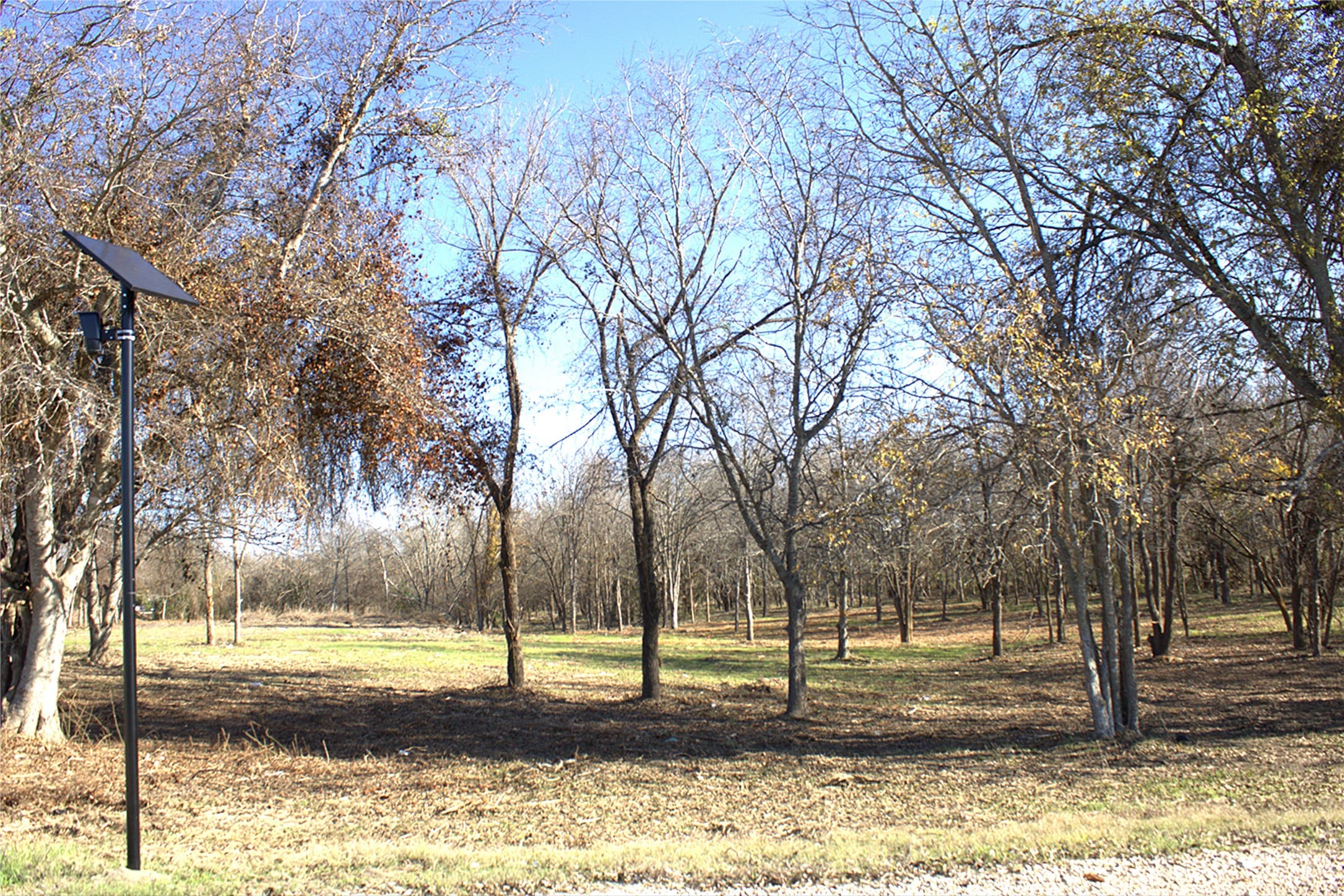 Gallery image 2