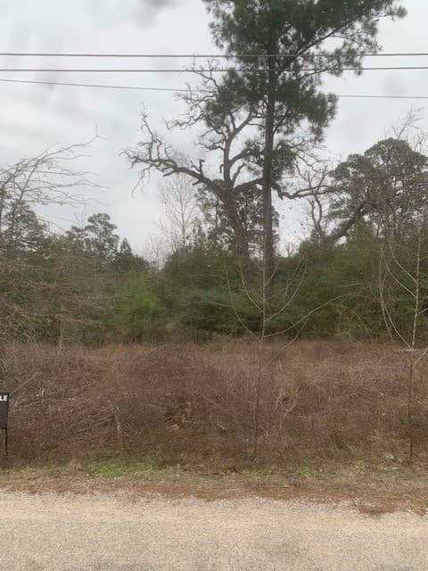 133 Koali Dr