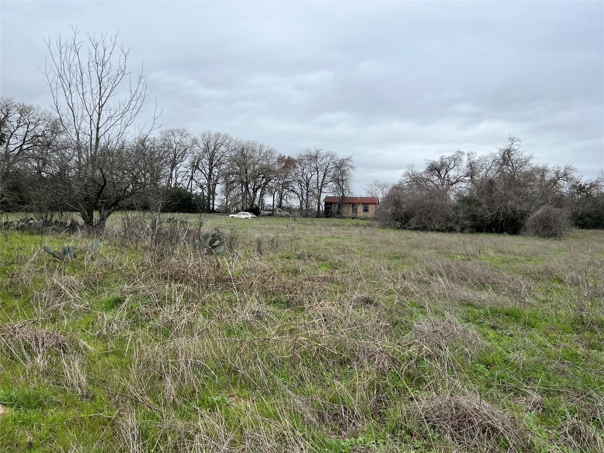 Gallery image 4