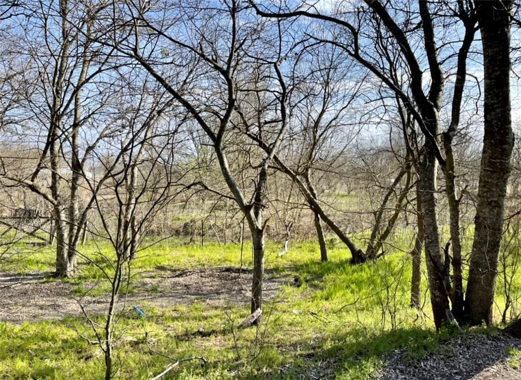 Gallery image 3