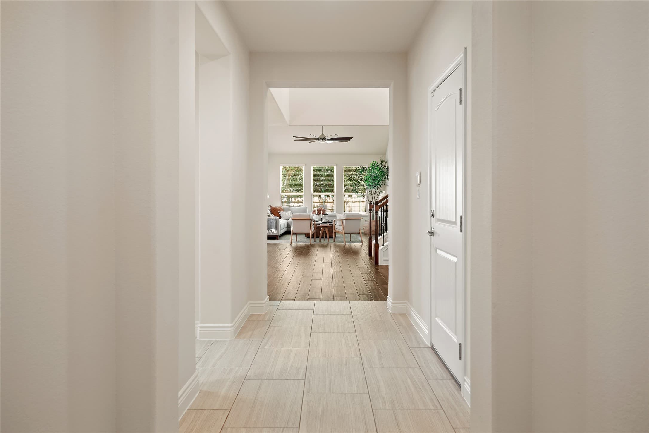 Gallery image 4