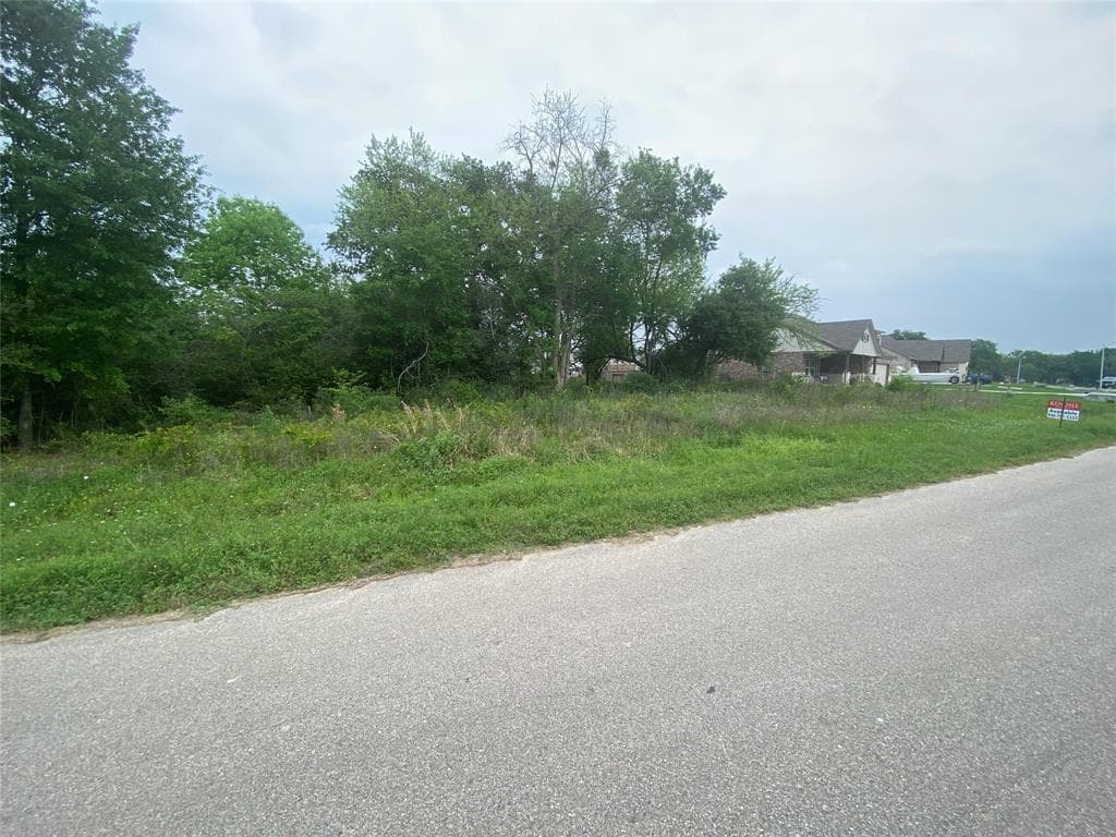 Gallery image 4