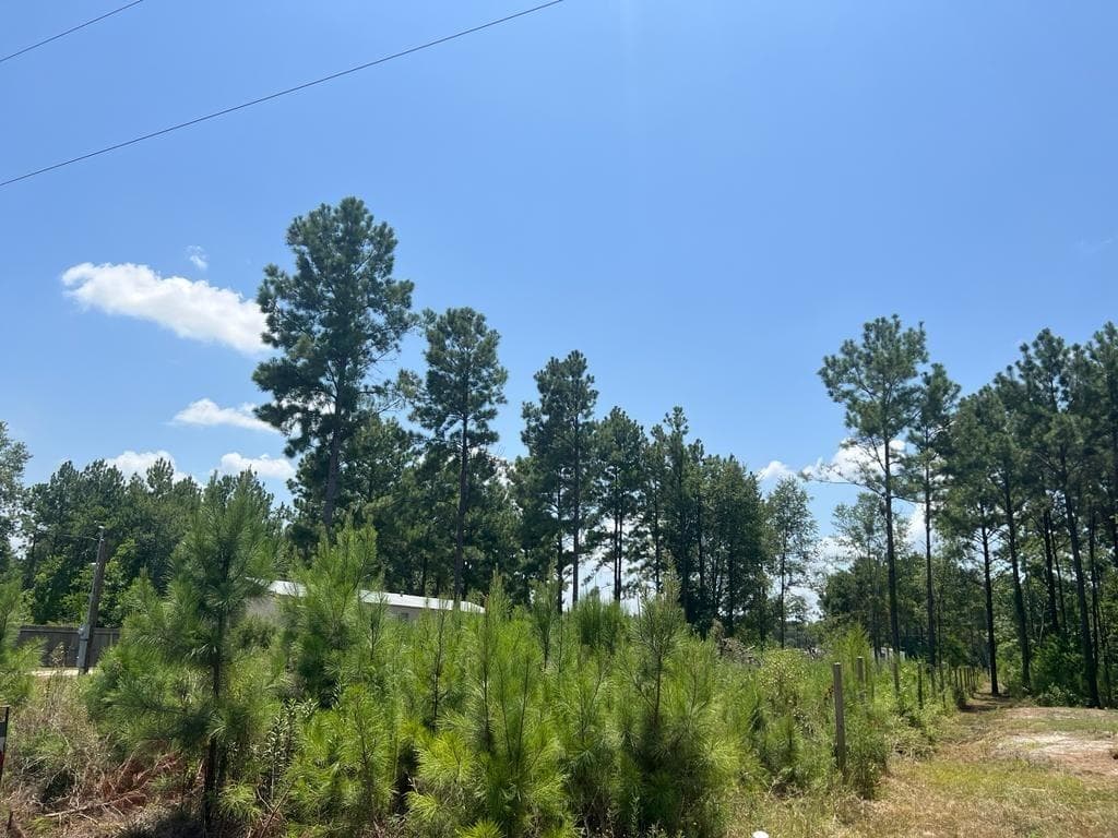 197 County Road 5102