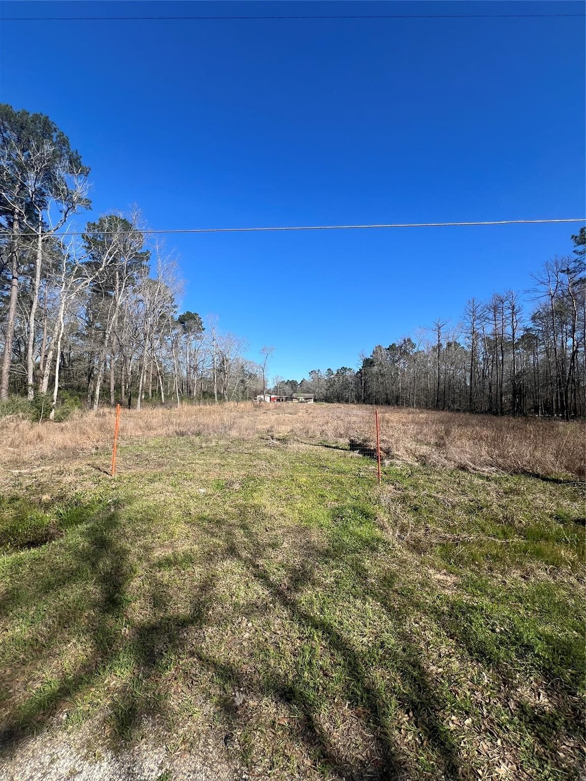 County Road 3709