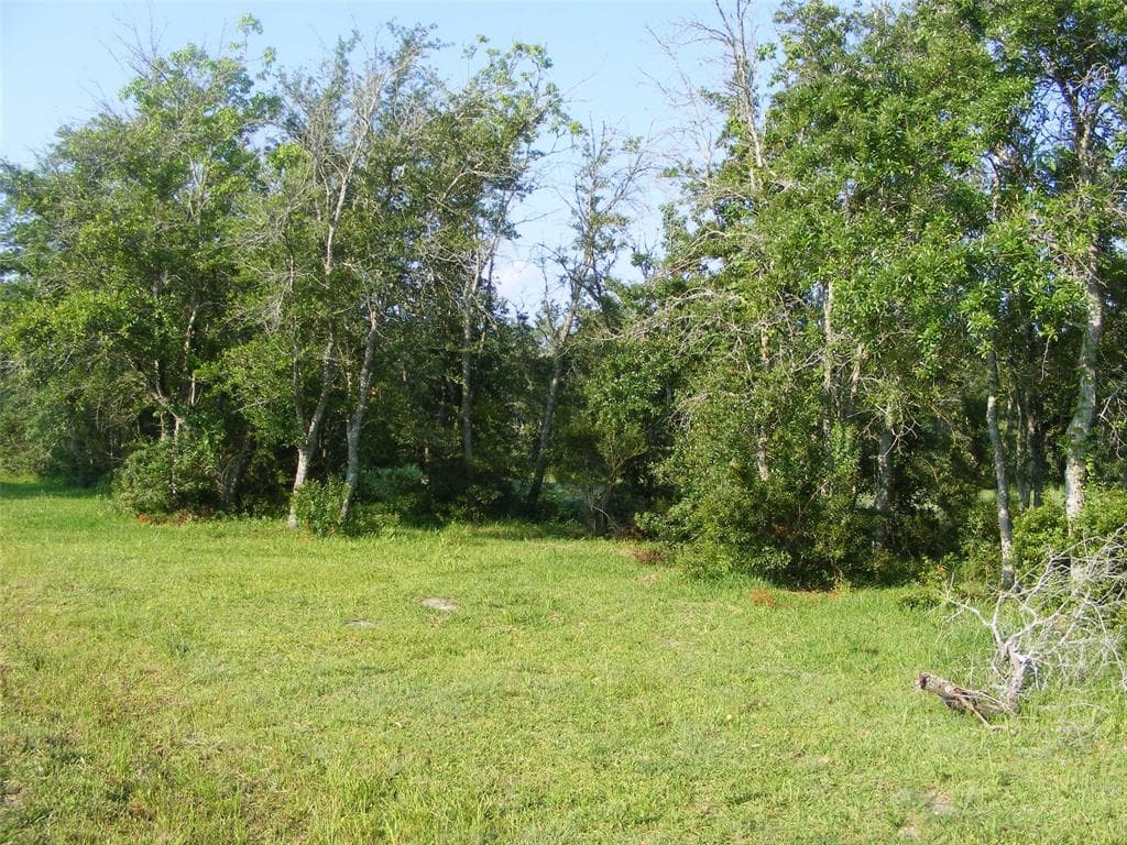 Gallery image 5