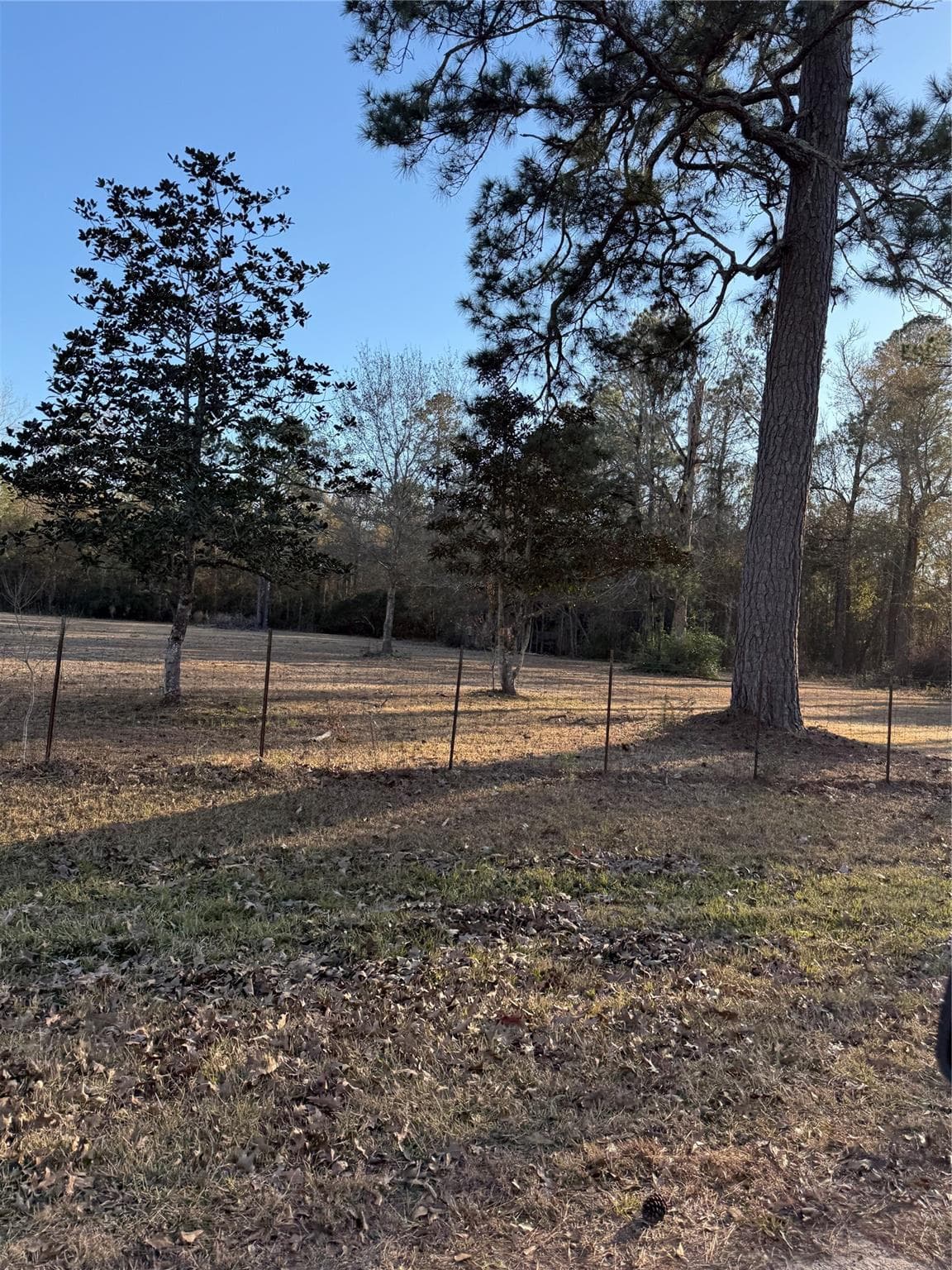 1621 County Road 308
