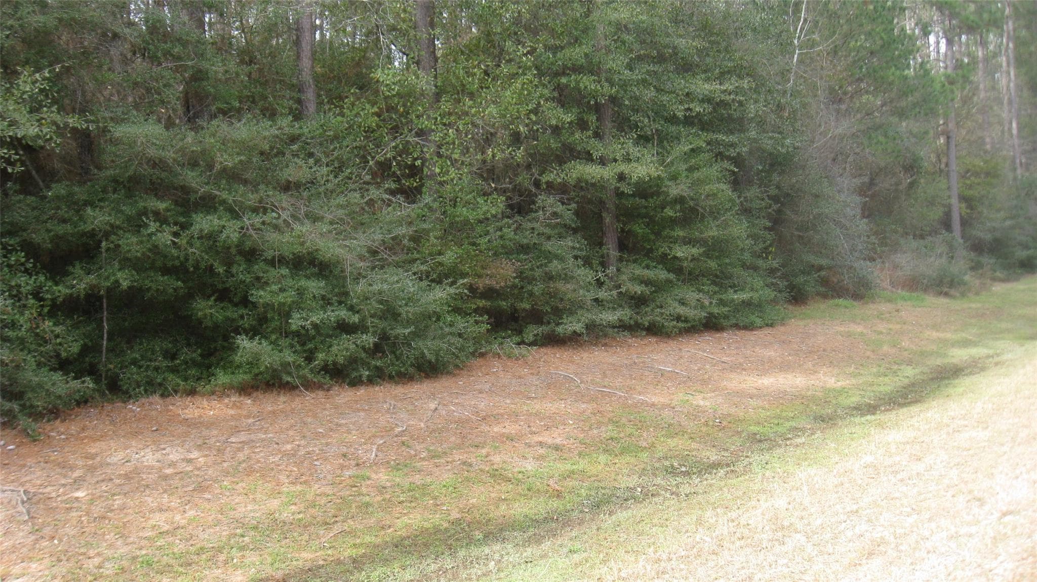 Gallery image 4
