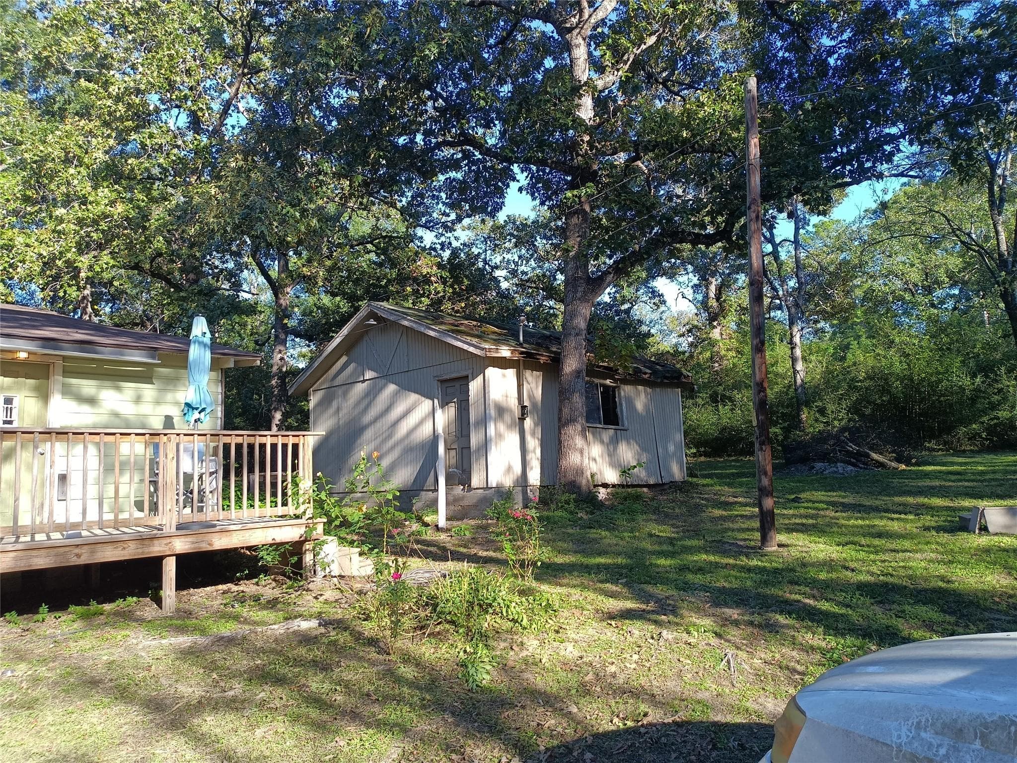 Gallery image 2
