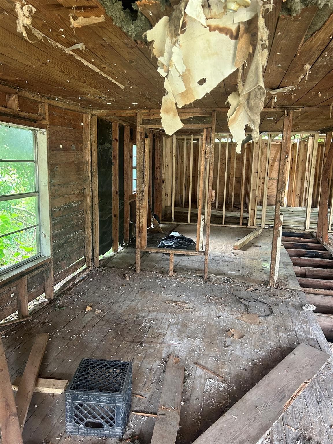 Gallery image 5