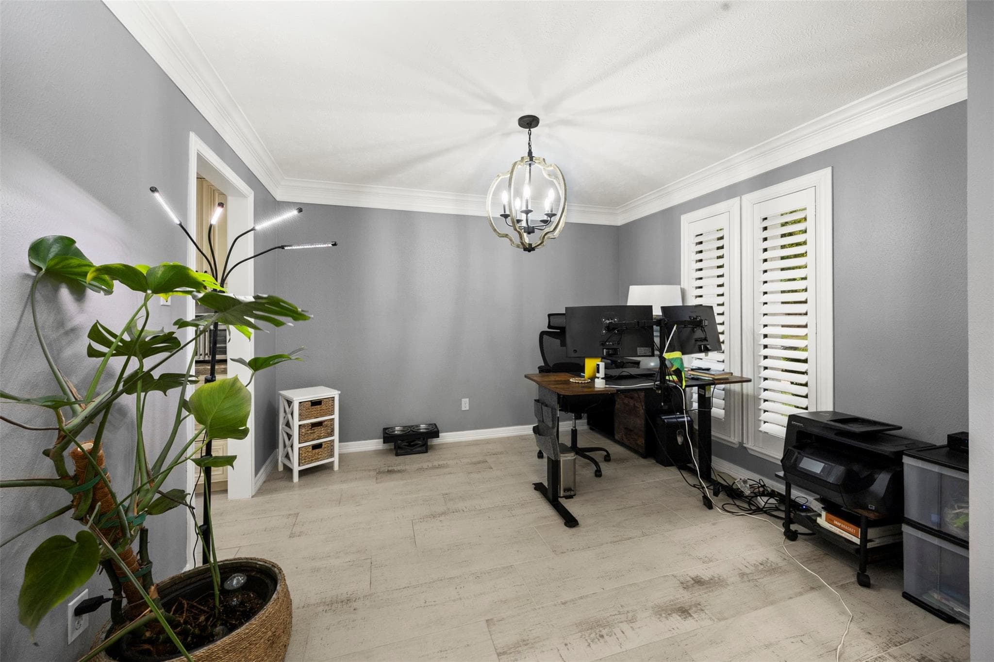 Gallery image 5