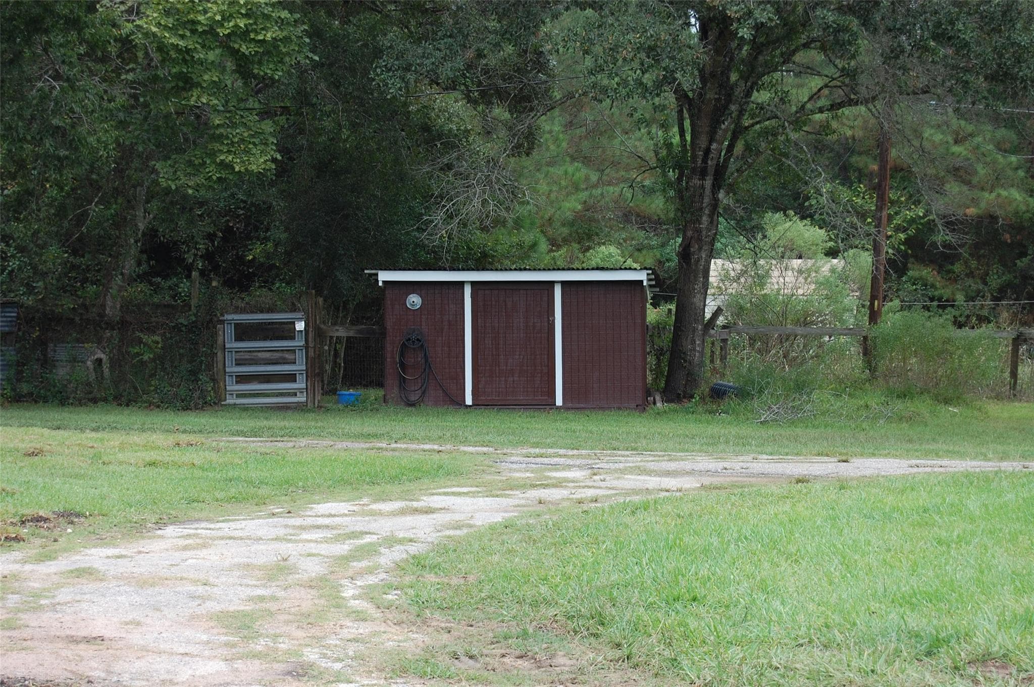 Gallery image 4
