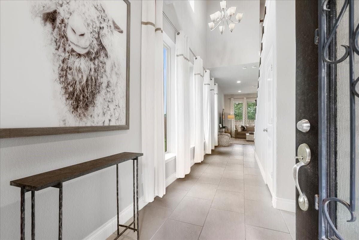 Gallery image 5