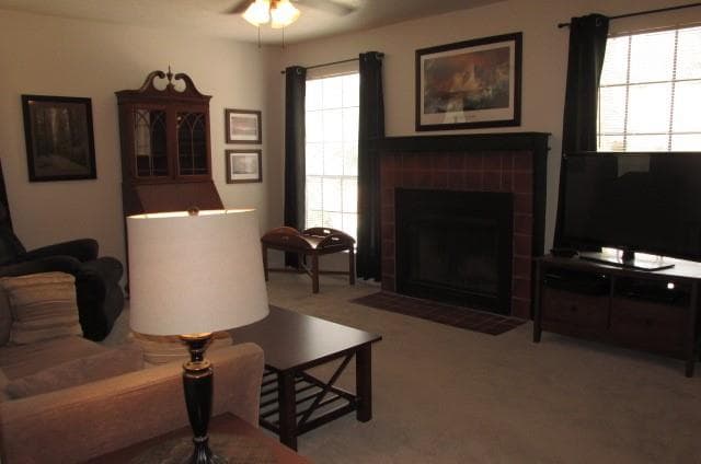 Gallery image 5