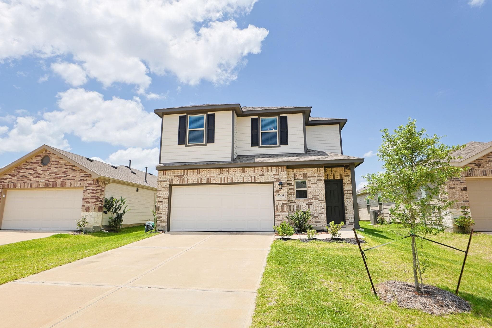 25499 Blue Mistflower Dr