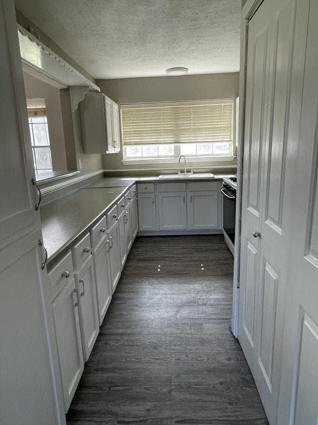 Gallery image 3
