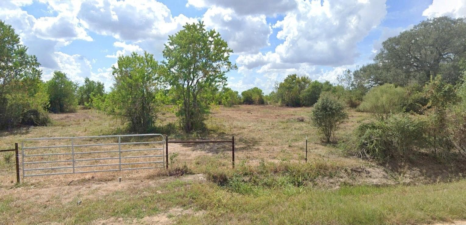 Gallery image 5