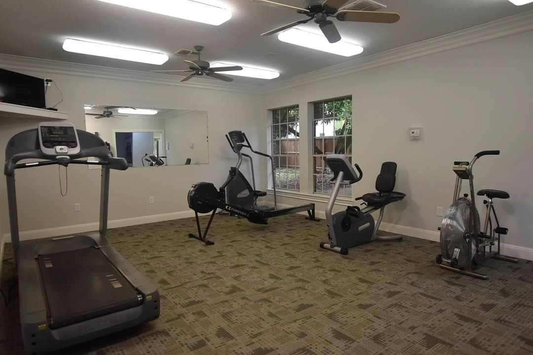 Gallery image 4