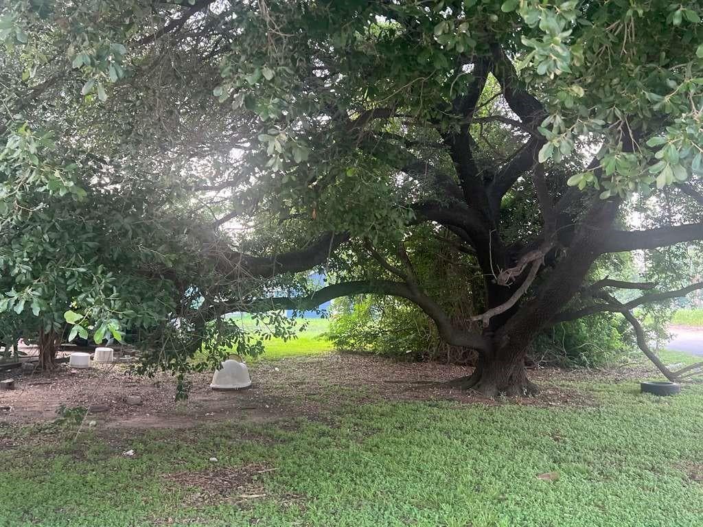Gallery image 5