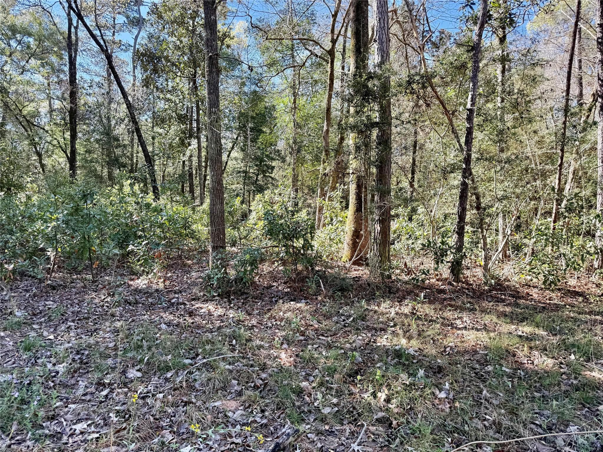 Gallery image 4