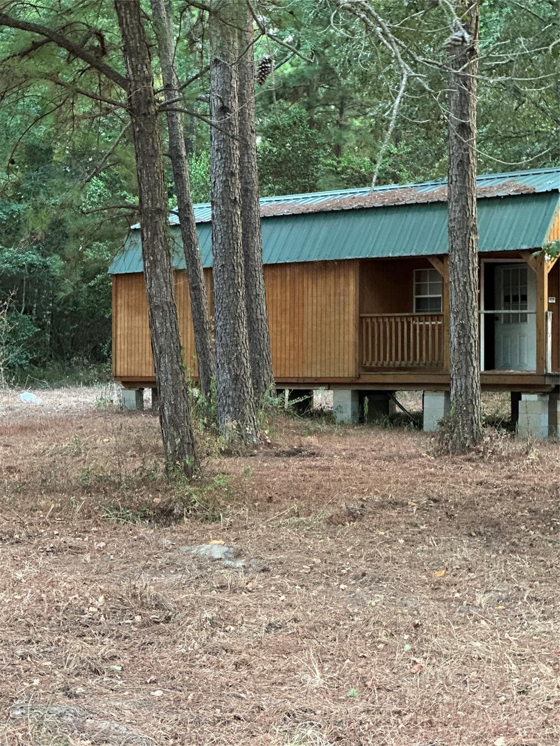Gallery image 5