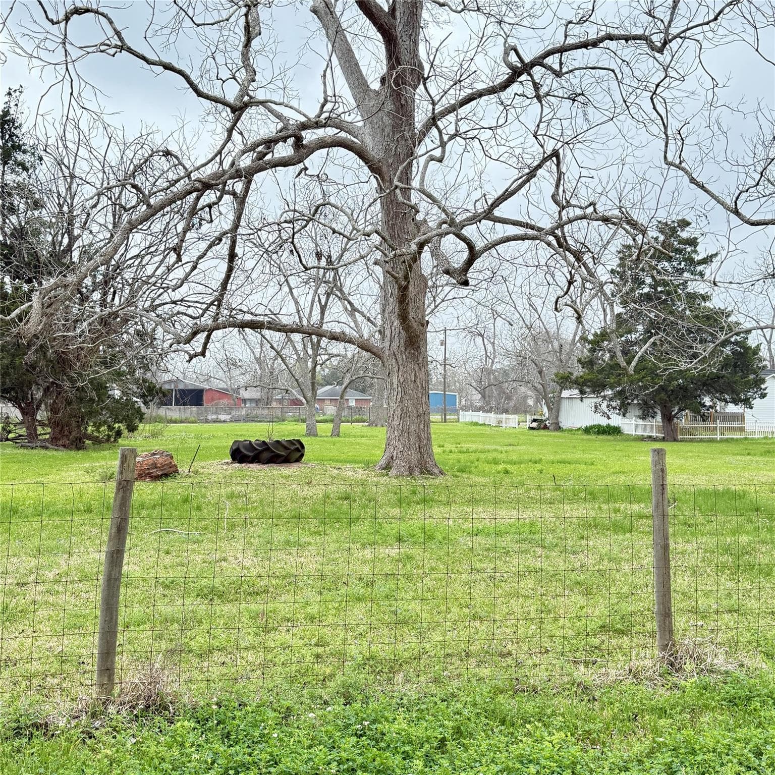 Gallery image 5