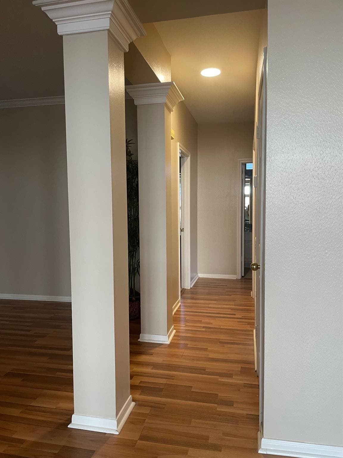 Gallery image 2