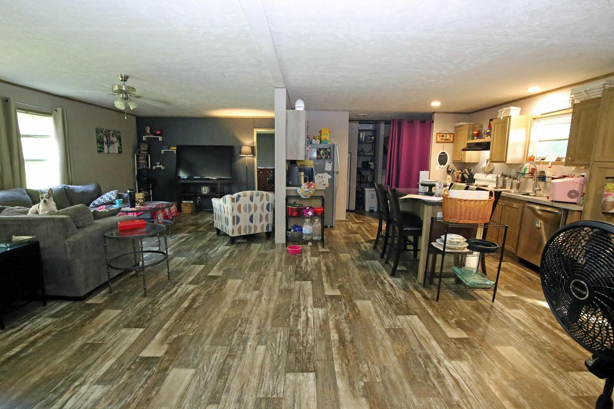 Gallery image 5
