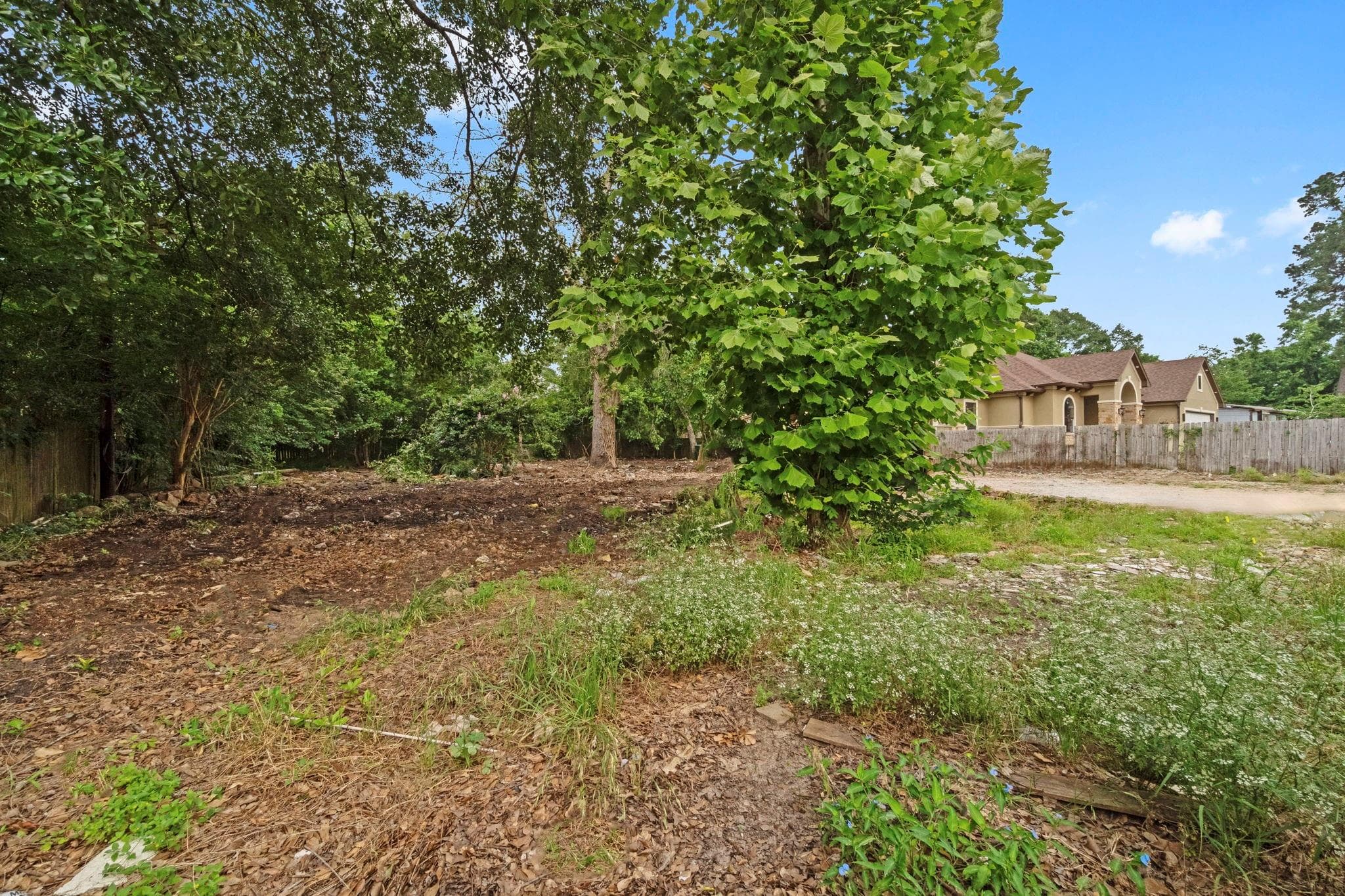 Gallery image 4