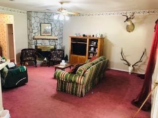 Gallery image 5