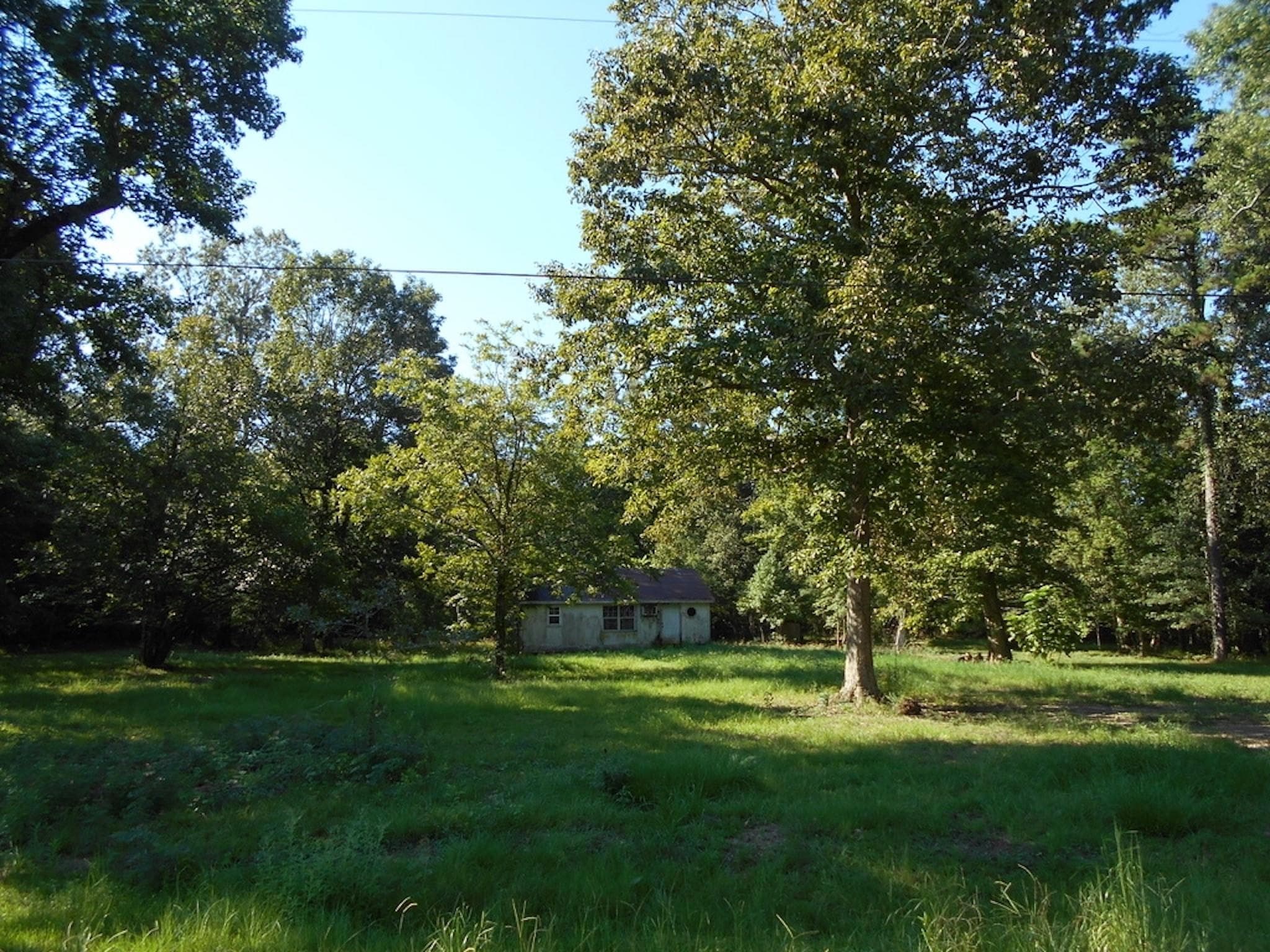 Gallery image 5