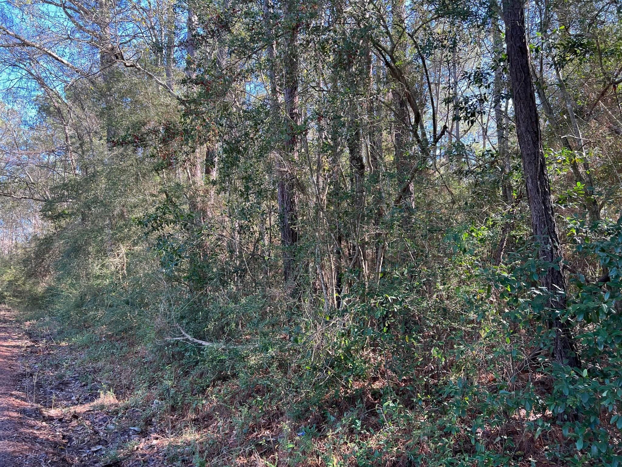 Gallery image 3