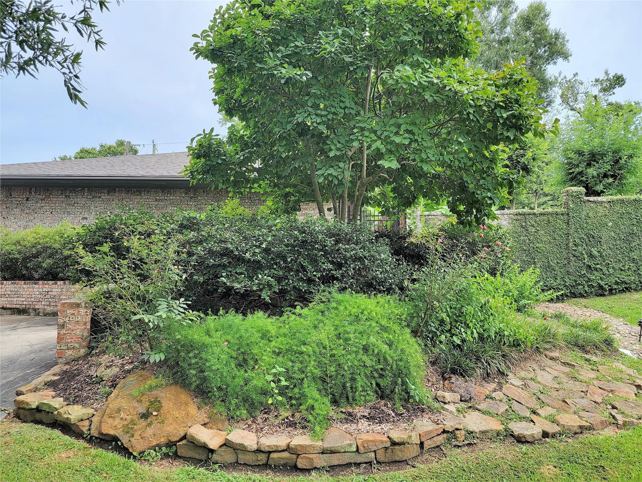 Gallery image 5