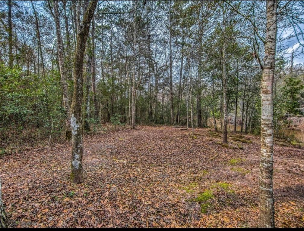 361 Blue Lake Dr