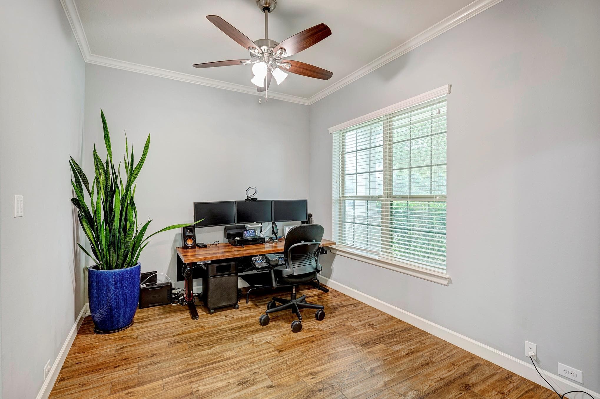 Gallery image 3