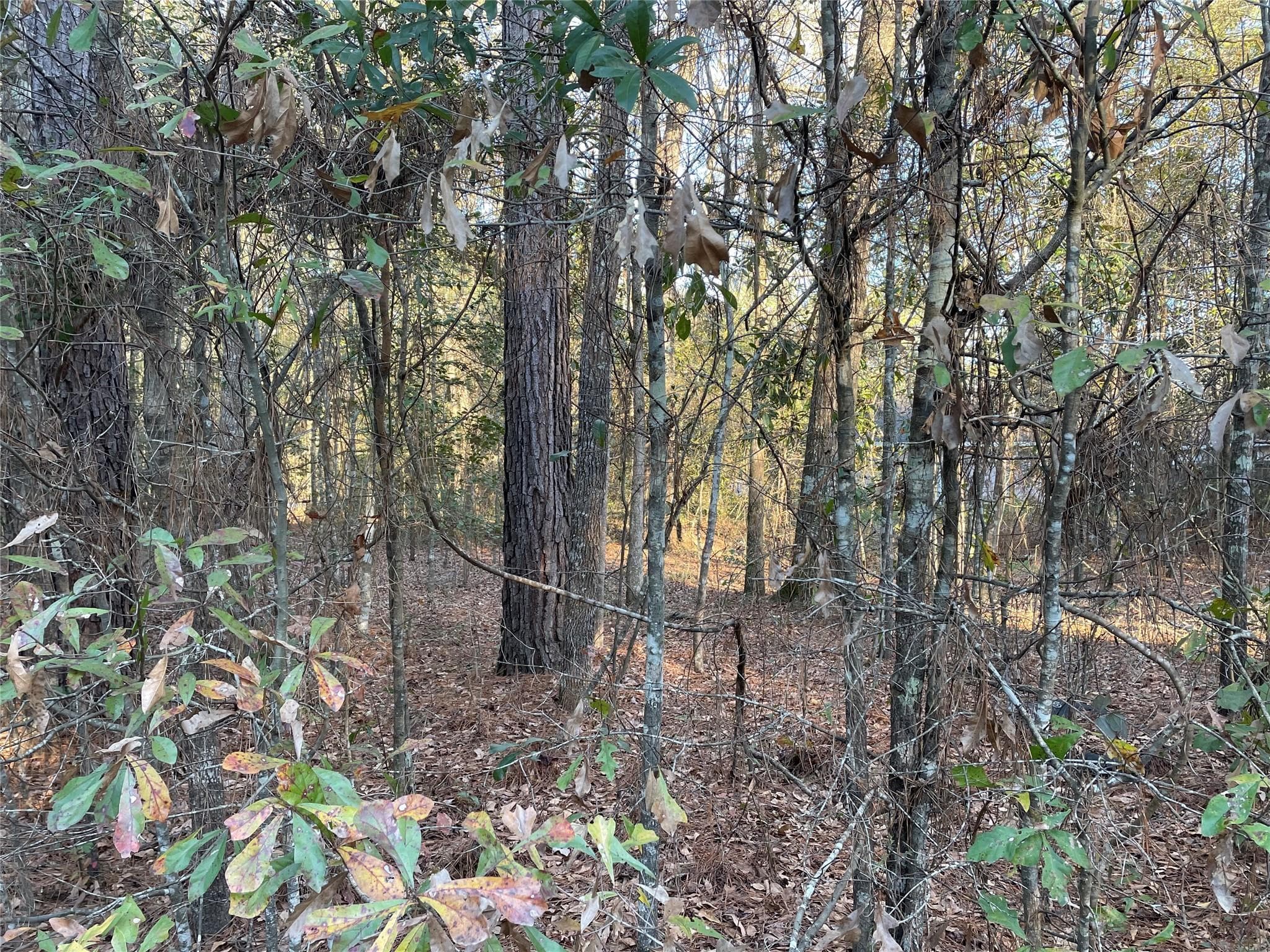 Gallery image 4