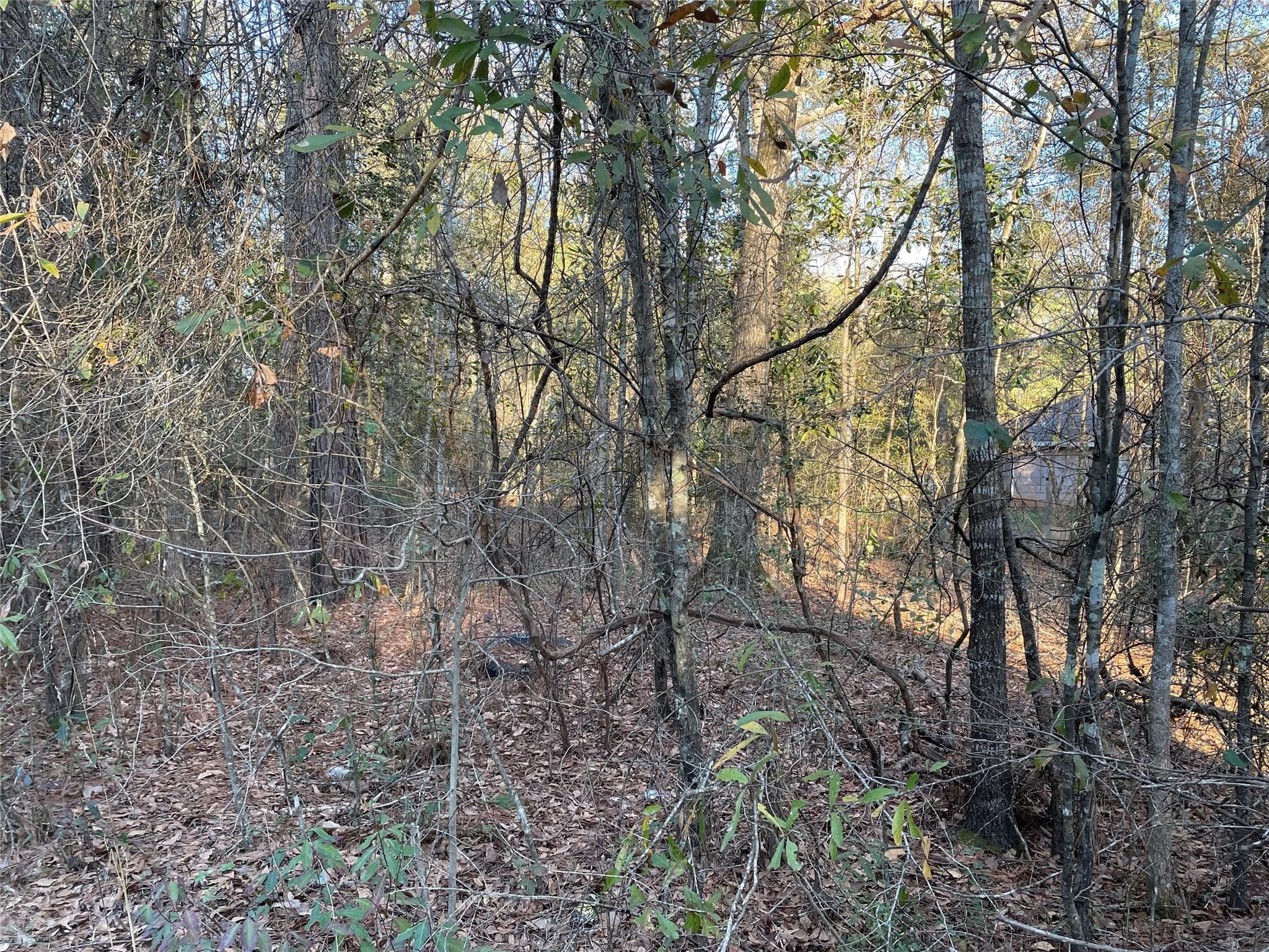 Gallery image 5