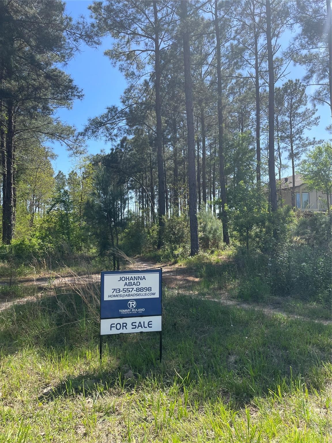 1756 County Road 3479a