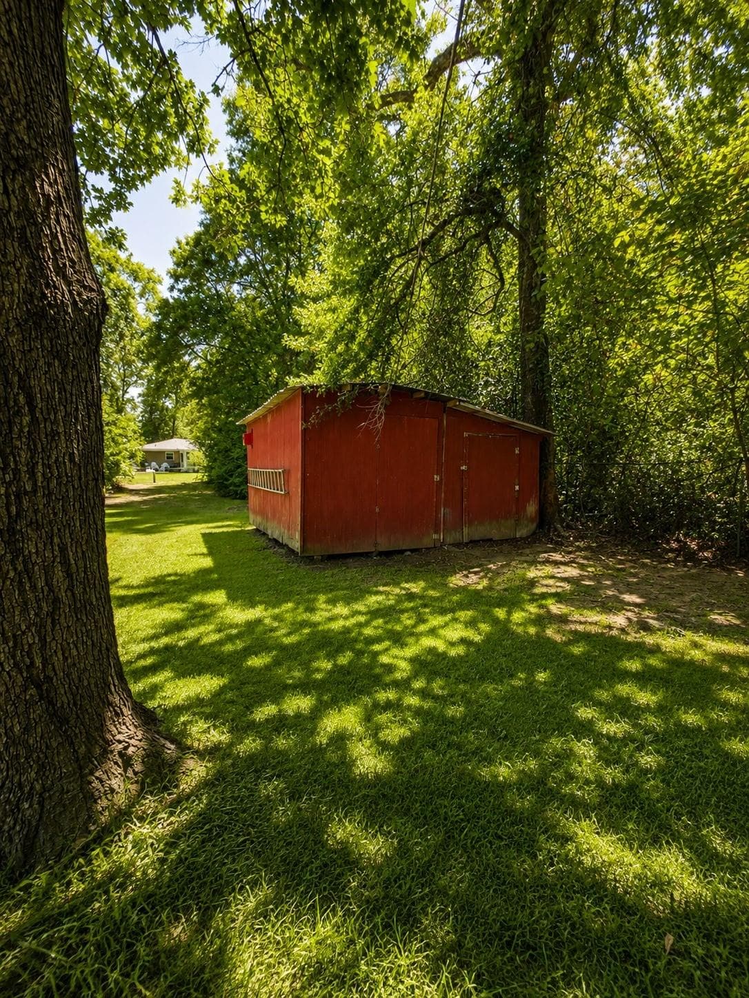Gallery image 5